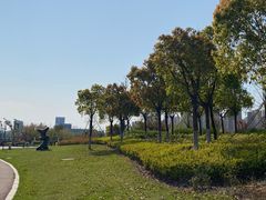 -宁波杭州湾国家湿地公园