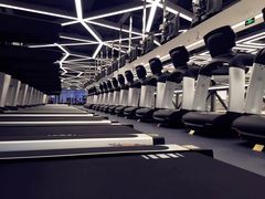 -金吉鸟健身游泳