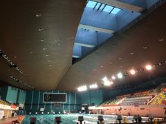 -重庆市奥林匹克体育中心-游泳跳水馆