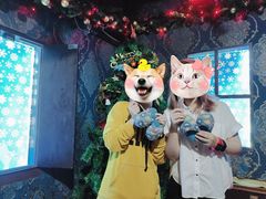 -魔方剧情密室(徐汇店)