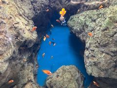 -福州罗源湾海洋世界旅游区