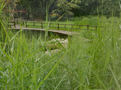 -成都市活水公园
