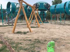 -永定河休闲森林公园