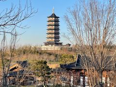 -白洋淀景区