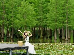 -白鹭湾湿地公园