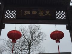 -西溪国家湿地公园