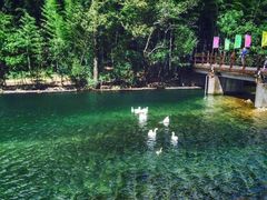 -石台牯牛降景区