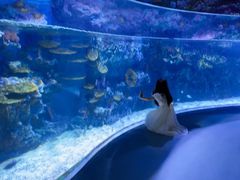 -海合安成都极地海洋公园