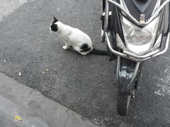 -梅记大块头爆鱼店(乍浦路店)