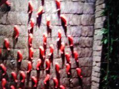 -小龙坎老火锅(鹤伴一路店)