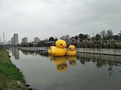 景点-菊园百果园