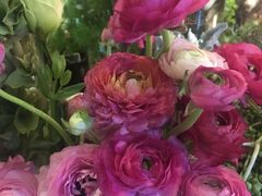 -BOBLOOM花店(宝龙旭辉广场店)