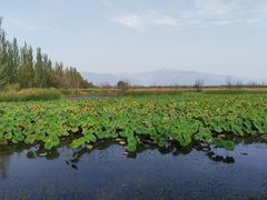 景点-野鸭湖国家湿地公园