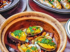 -海市焗·现焗海鲜·老广风味(上海首店)