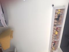 -懒熊月嫂(太仓店)