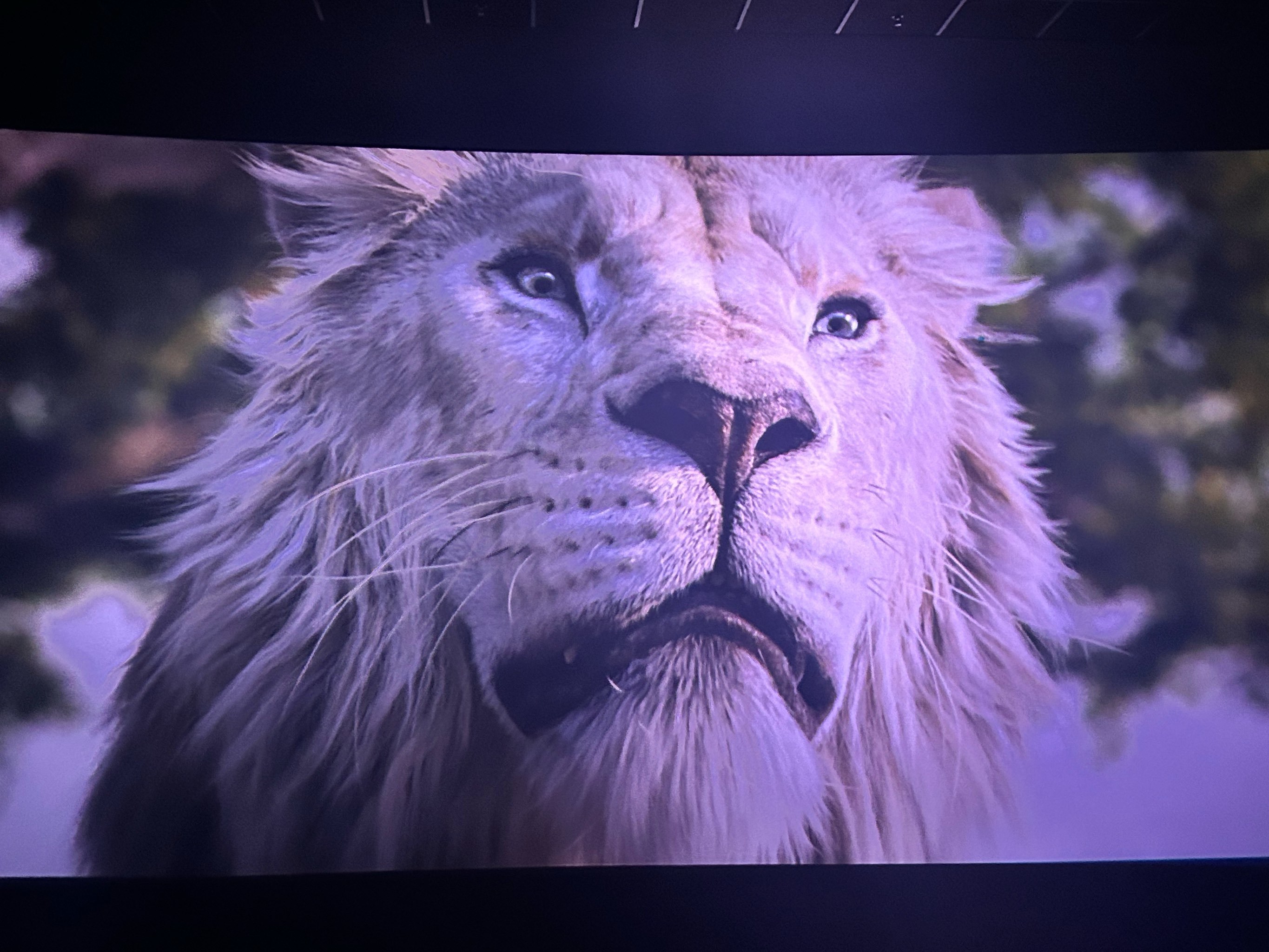 我记忆中狮子王只有辛巴跟他爸爸,没想到这么多