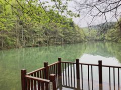 -青龙山国家森林公园