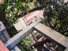 -香港大学