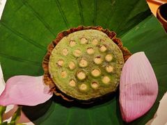 -叶叶菩提(太原别墅店)