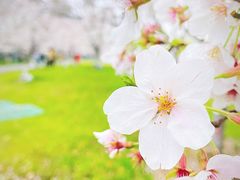 -南京城墙景区