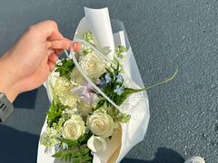 -荷兰花海