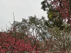 -成都杜甫草堂博物馆