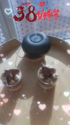 -dōTERRA多特瑞精油生活馆