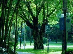 -晓港公园