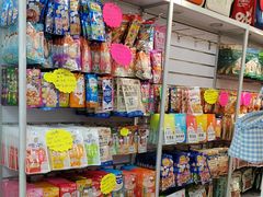 -北京观赏动物医院·24小时大型综合·猫专科·异宠专科