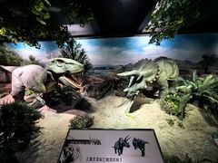 -国家自然博物馆