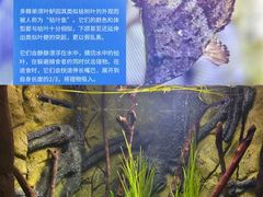 -上海海洋水族馆