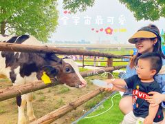 -秀丽东方
