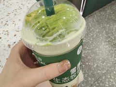 -茉酸奶(春熙路店)