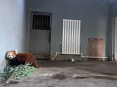 -沈阳森林动物园
