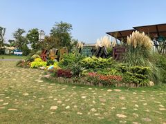 -上海长兴岛郊野公园