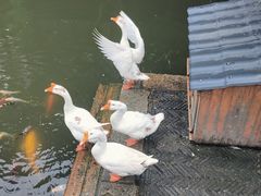 -苏州碑刻博物馆