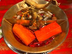 -小龙翻大江·小龙坎臻选店(太古里店)