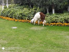 -西山漾湿地公园