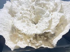 -天津自然博物馆