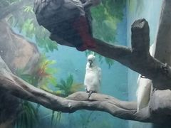 -福州罗源湾海洋世界旅游区