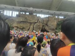 -杭州开元森泊度假乐园