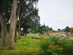 -情侣路