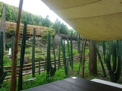 -MOJ coffee(瓯海泽雅水碓坑店)