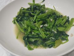 -丁老爷子苏香圆