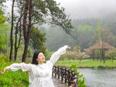 -黄陂区野村谷景区