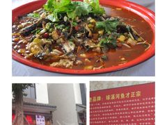 -球溪周鲢鱼