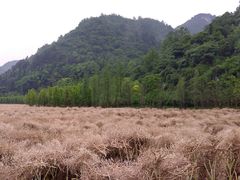 -贵阳市花溪国家城市湿地公园
