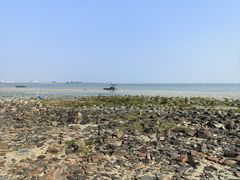 -北海金海湾红树林生态旅游区