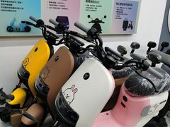 -九号电动车(安定门内大街店)