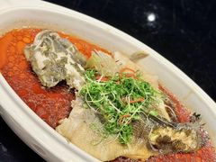 -新雅粤菜馆(南京东路店)